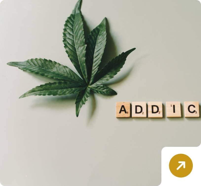 Marijuana leaf and word addiction